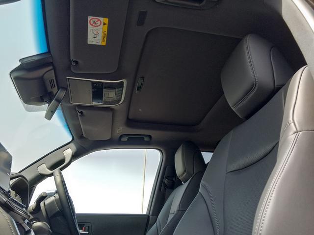 2025 Toyota LAND CRUISER 300 SERIES
