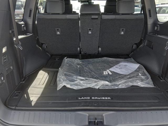 2025 Toyota LAND CRUISER 300 SERIES